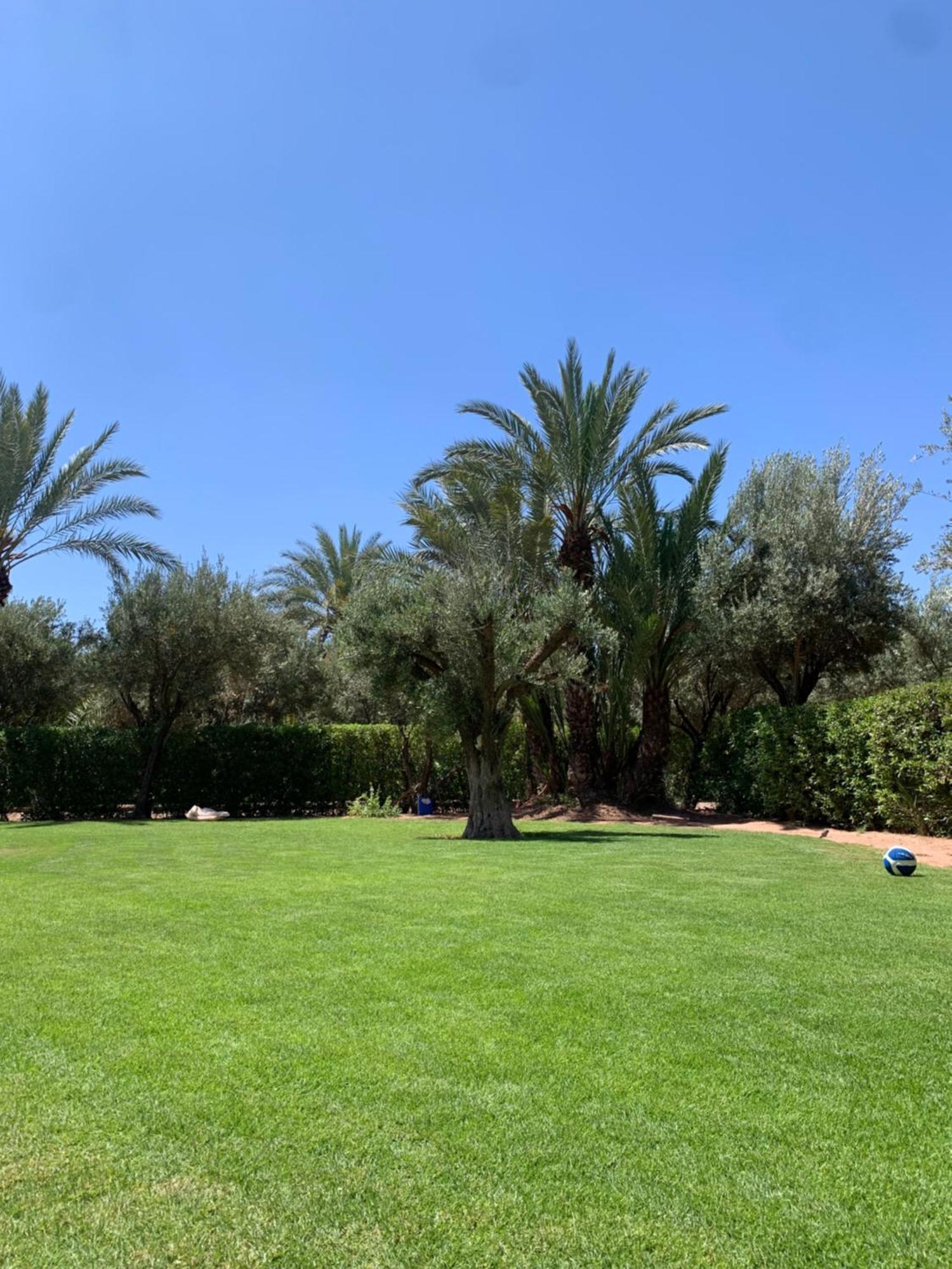 Villa Avec Piscine Privatisee A La Palmeraie Marrakesh Exteriör bild