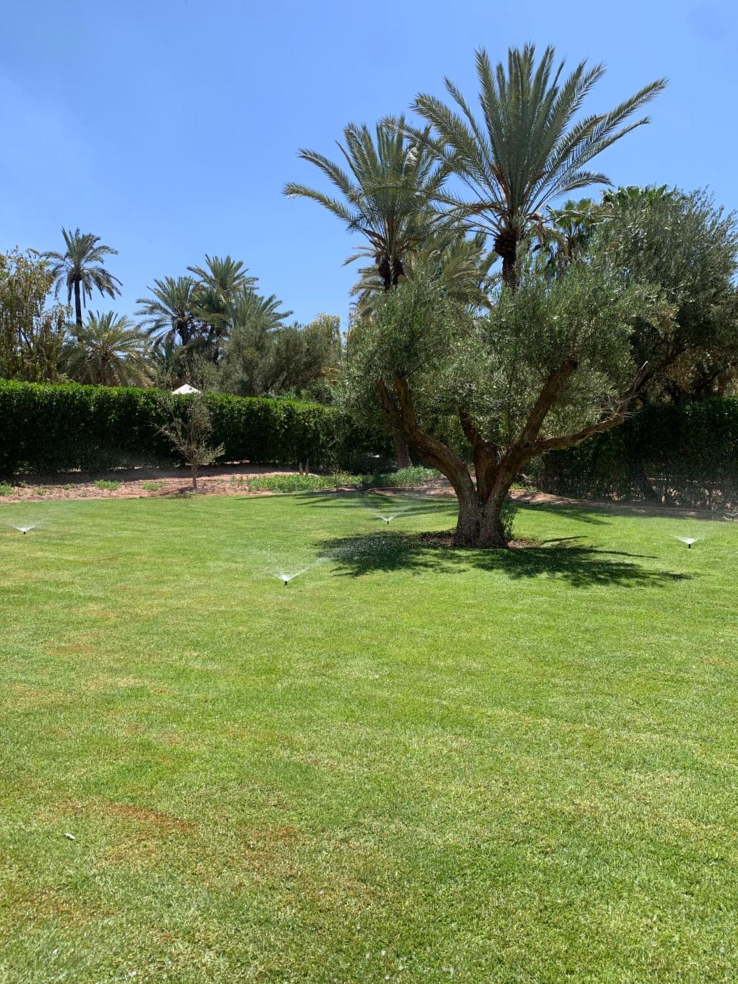 Villa Avec Piscine Privatisee A La Palmeraie Marrakesh Exteriör bild