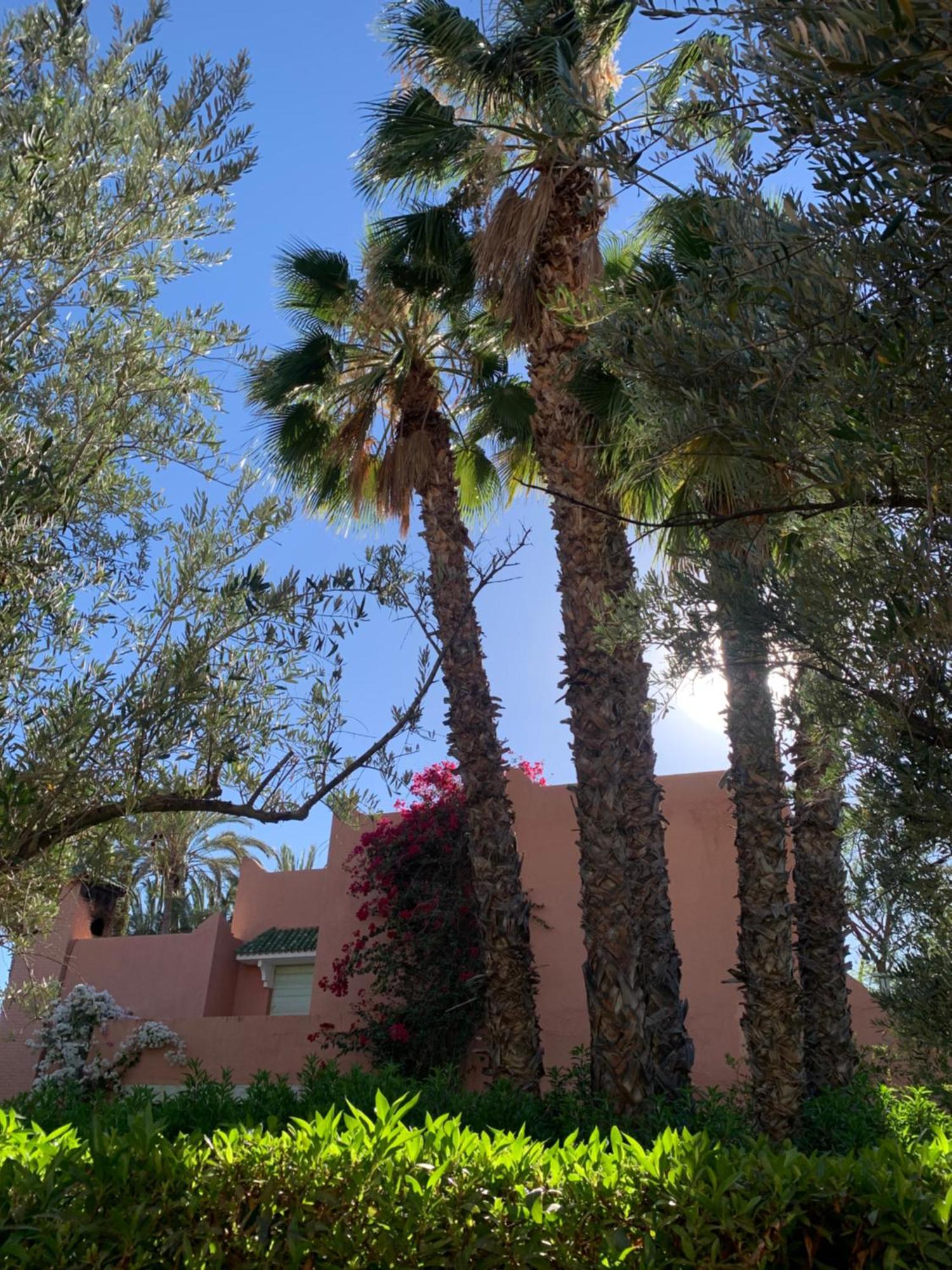 Villa Avec Piscine Privatisee A La Palmeraie Marrakesh Exteriör bild