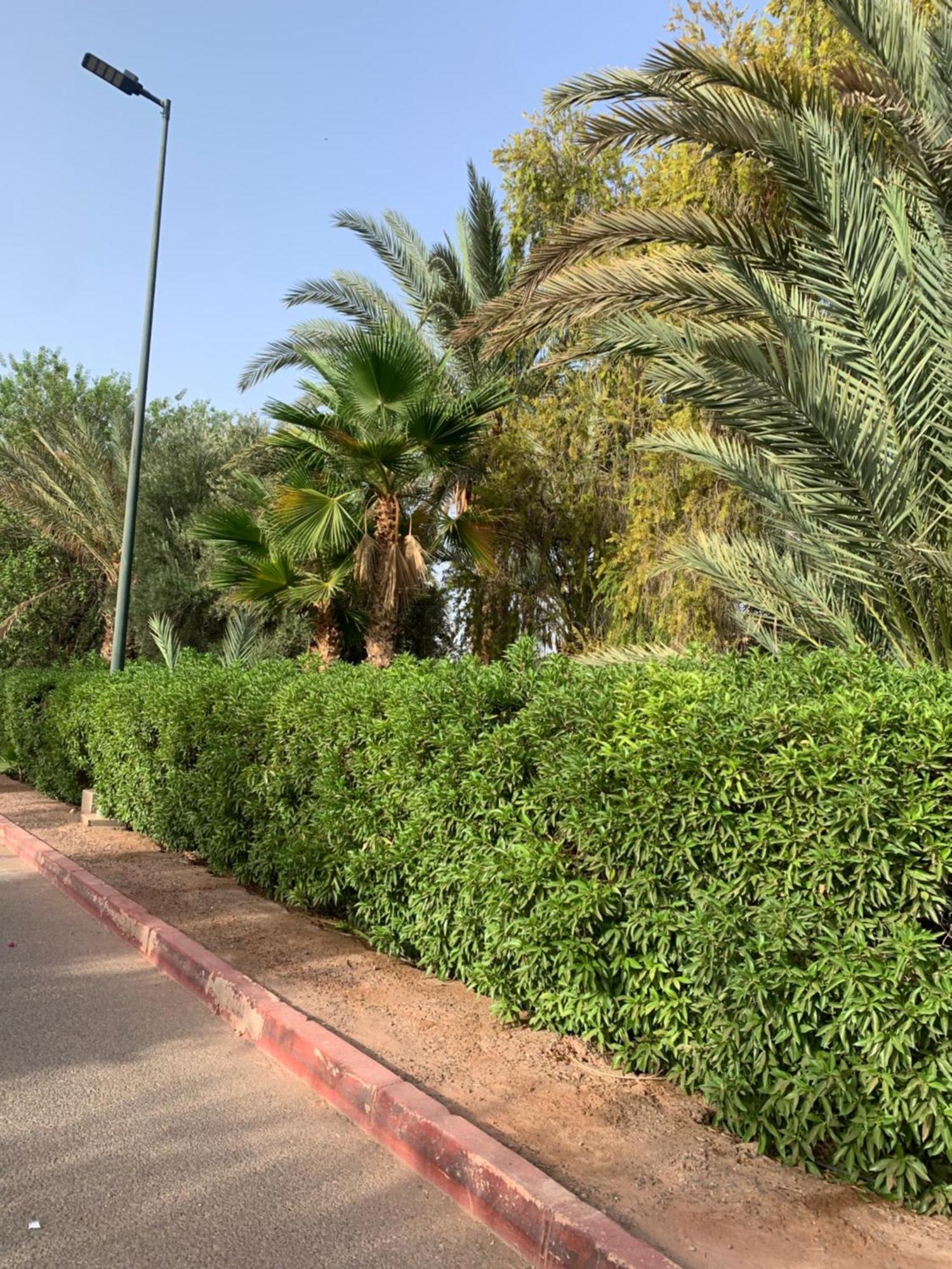 Villa Avec Piscine Privatisee A La Palmeraie Marrakesh Exteriör bild